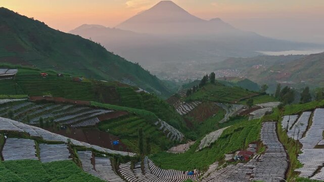 Aerial view of the terraced agricultural fields in Dieng Plateau with misty mountains and a valley under soft morning light in Kejajar, Central Java, Indonesia.