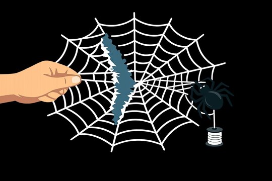A person's hand is surrounded by a spider web with a spider sitting on it, great for Halloween or nature-themed images