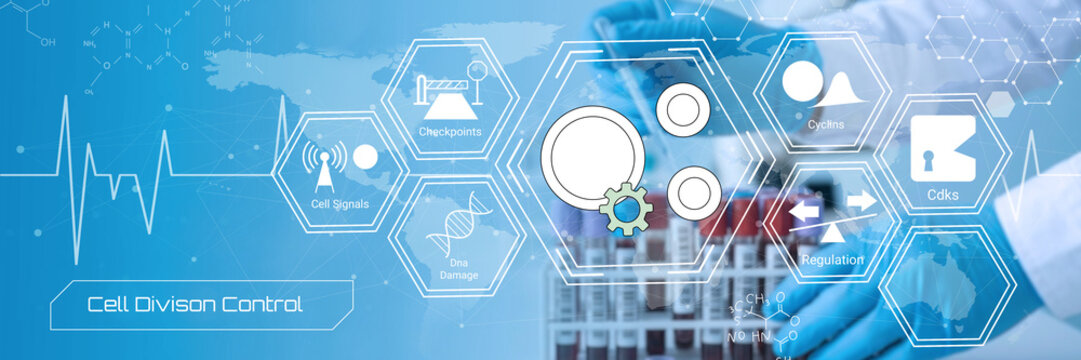 Illustrated diagram showing cell division control mechanisms with biological and technological icons
