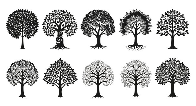 A comprehensive collection of diverse stylized tree illustrations, showcasing intricate root systems and varied leaf patterns, perfect for design elements and natural themes