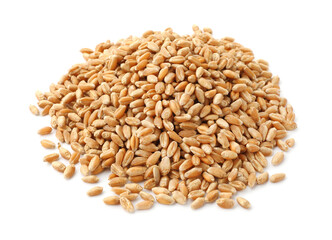 Fototapeta premium Heap of wheat grain isolated on white