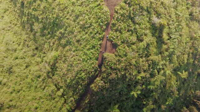 Aerial view of people walking along a narrow dirt path on a lush green mountain ridge in Dieng Plateau, Kejajar, Central Java, Indonesia.