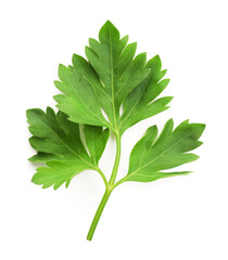 Fototapeta premium Aromatic herb. Green parsley isolated on white, top view