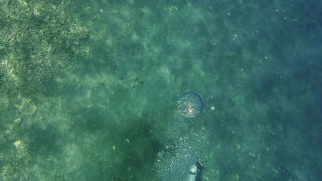 Scuba diver creating underwater bubble rings