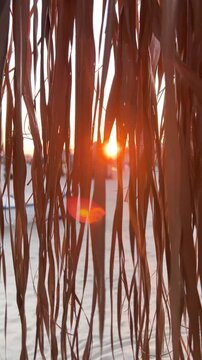 Golden hour sunset glowing through palm thatch roof, dry leaves create textured silhouettes and orange lens flare over seaside horizon. High quality 4k footage
