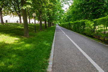 Fototapeta premium Empty paved walkway through lush green park trees on a sunny spring day in Stuttgart, Germany.
