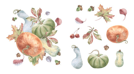 Pumpkins, autumn leaves and acorn watercolor illustration set isolated white. Fall harvest collection of squash and vegetable for design element. Seasonal natural botanical art for Thanksgiving decor. © Ekaterina Lanbina