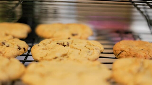 Chocolate chip cookies resting on tray 