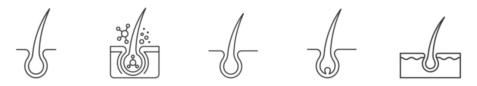 hair follicle line icon set, hair roots anatomy vector illustration on transparent background