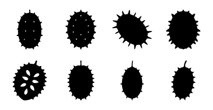 Black spiky sea urchin and starfish icons set - Minimalist black and white vector icons of spiky sea urchins and a starfish, perfect for marine or underwater-themed projects.