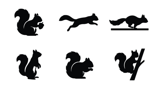 Set of squirrel silhouettes in different poses
