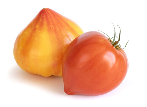 Tomate C&oelig;ur de b&oelig;uf jaune et rouge