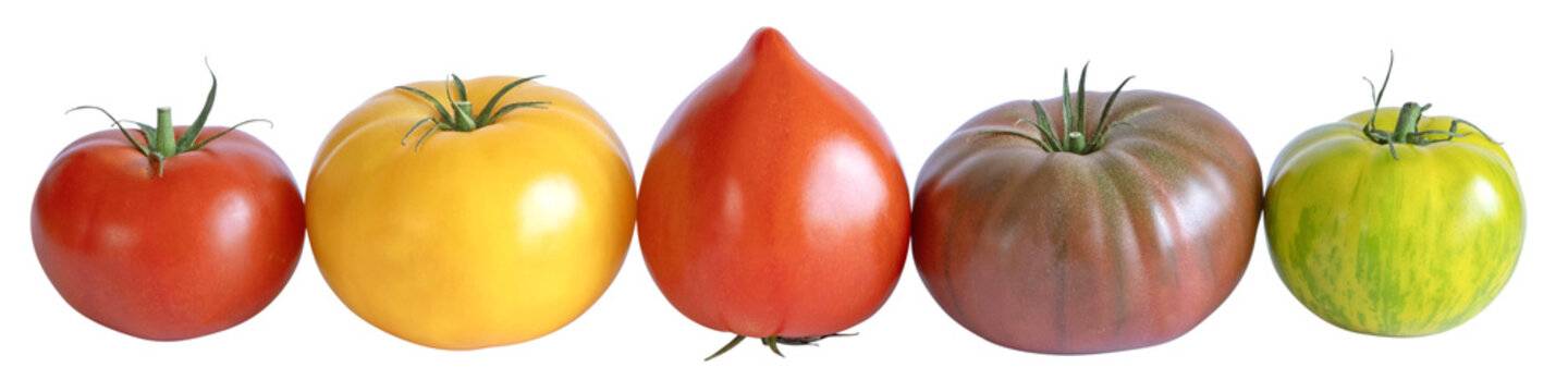Diff&eacute;rentes vari&eacute;t&eacute;s de tomates	