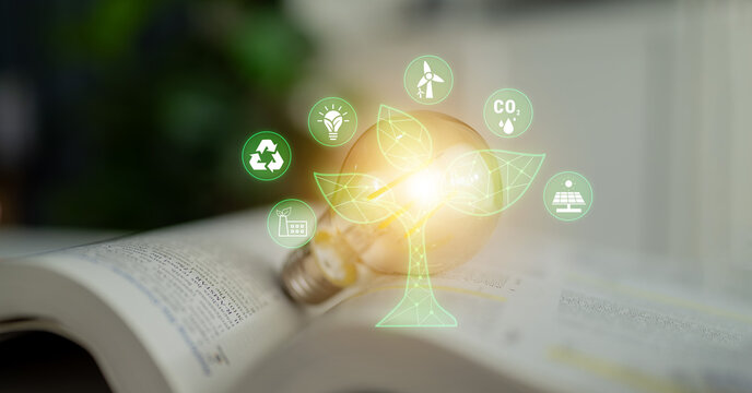 Light Bulb Growing into Tree Symbolizing Renewable Energy and Sustainability Concept with Infographic Design in Soft Focus Background Quark.