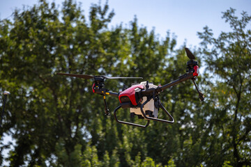 Naklejka premium An unmanned agricultural aerial vehicle equipped with a spraying tank flies in the air against a background of green deciduous trees on a clear day during a technology demonstration