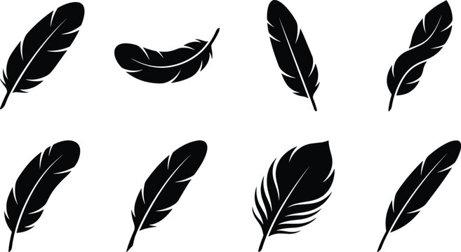 Set of eight black feather silhouettes in various shapes and angles, isolated on a white background, representing nature, writing, birds, and delicate organic textures