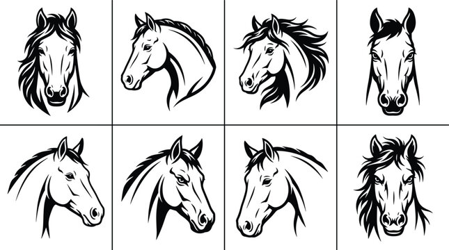 Eight stylized horse head in black and white style featuring various poses and angles for equestrian branding or