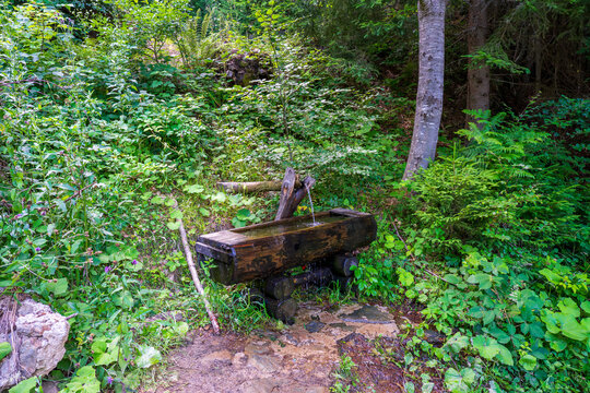 Traditional Wooden Water Trough With Natural Spring Water in Lush Forest, Bosnia and Herzegovina
