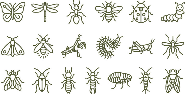 Detailed outline icons of various garden insects and small flying bugs in a creative arrangement