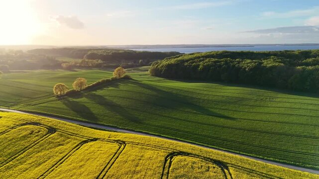 Aerial view of the Freienwillen estate area featuring rolling green hills, yellow rapeseed fields, and dense forests near the coast in Langballig, Schleswig-Holstein, Germany.