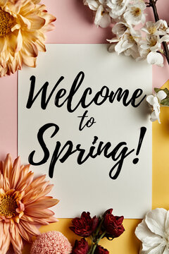 Kaligraficzny napis &bdquo;Welcome to Spring!&rdquo; na białej kartce, udekorowanej wok&oacute;ł jasnymi i bordowymi kwiatami oraz kwitnącymi gałązkami na r&oacute;żowo-ż&oacute;łtym tle.
