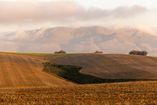 farmland and mountains at sunset, Western Cape, South Africa