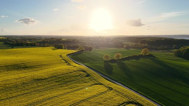 Aerial view of yellow rapeseed fields and green meadows under a bright sun near Freienwillen Langballig, Schleswig-Holstein, Germany.