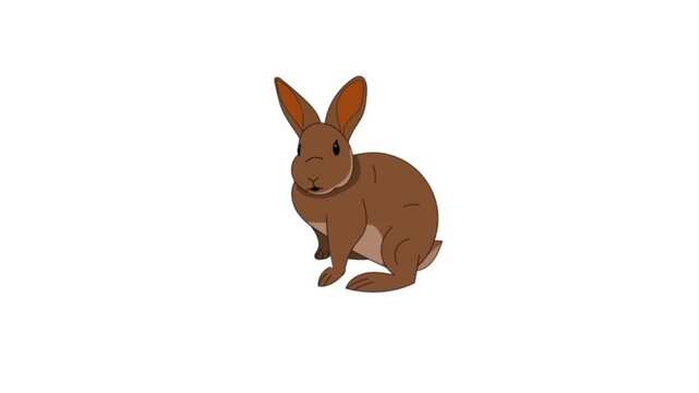 Rabbit 3d animation isolated on white background