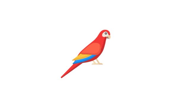Parrot 3d animation red and blue bird