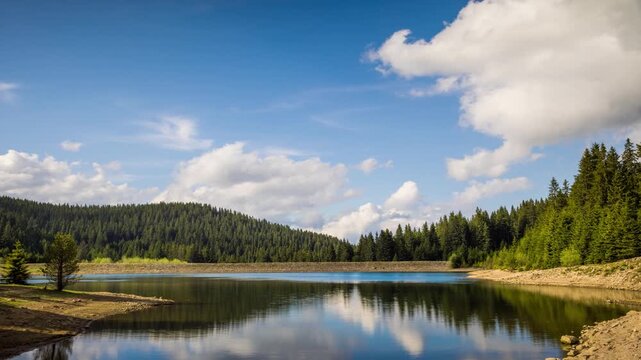 Lake with clear water and stone shore in spruce forest with fir trees against a daytime sky