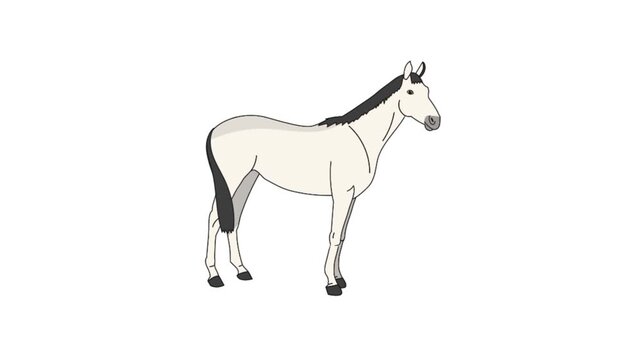 White horse 3d animation vector illustration