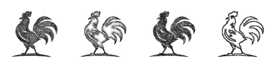 Black and white sketch rooster logo design set © David Zydd