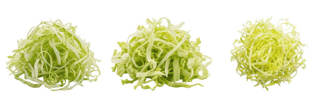 Set of Three Piles of Fresh Shredded Green Cabbage or Lettuce Isolated on White Background, Healthy Raw Vegetable Slices for Salads and Cooking Ingredients, Organic Food Preparation Concept