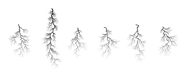 Detailed illustration of various tree root systems branching underground in nature © Saudia Corporation