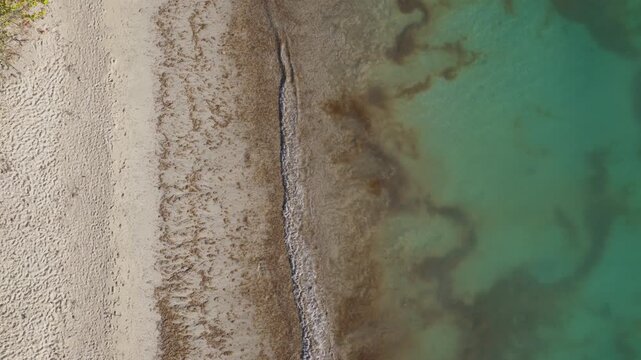 Infested with seaweed algea Caribbean beaches captured from above