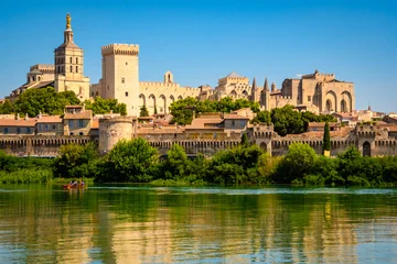 Panoramic view of the historic center, Papal Palace and ancient city walls rise above the Rhone River on a sunny summer day, Avignon, Provence, France © Olena Zn