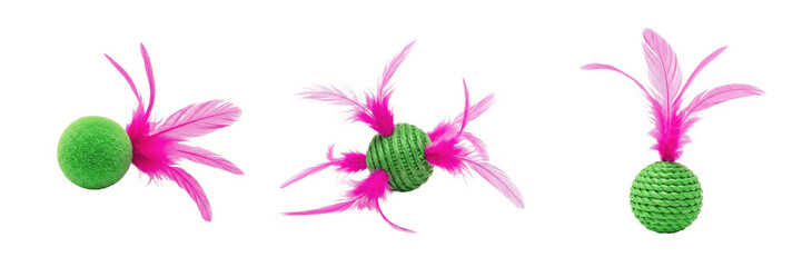 Set of Colorful Cat Toys with Pink Feathers and Green Mesh Balls PNG Collection  © Rasheed