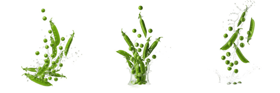 Set of Fresh Green Peas with Water Splashes, Flying Pea Pods and Individual Seeds in Motion, Organic Vegetable Concept Isolated on White Background, PNG Cutout Collection