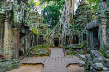 Fototapeta premium Ta Prohm temple in Siem Reap, Cambodia, showcases ancient Khmer architecture entwined with massive tree roots, a UNESCO World Heritage site.