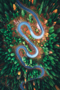 Aerial drone view of winding serpentine road in Dolomites, Italy. Top down view of scenic alpine mountain pass highway curving through autumn forest with colorful trees during fall season. Transport