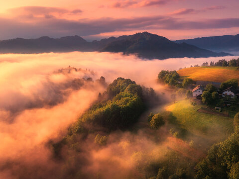 Aerial view of alpine meadows and mountains in low clouds at golden sunrise in summer. Top drone view of hills with green grass, trees in fog, house, colorful sky in Slovenia. Nature. Mountain valley