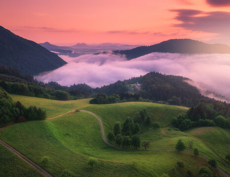 Aerial view of alpine meadows and mountains in low purple clouds at sunrise in summer. Top drone view of hills with green grass and trees in fog, colorful sky in Slovenia. Nature. Mountain valley