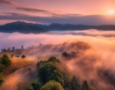 Aerial view of trees on alpine meadow, mountains in pink low clouds at foggy sunrise in summer. Top drone view of hills with green grass and trees in fog, purple sky at dawn. Slovenia. Landscape. Alps