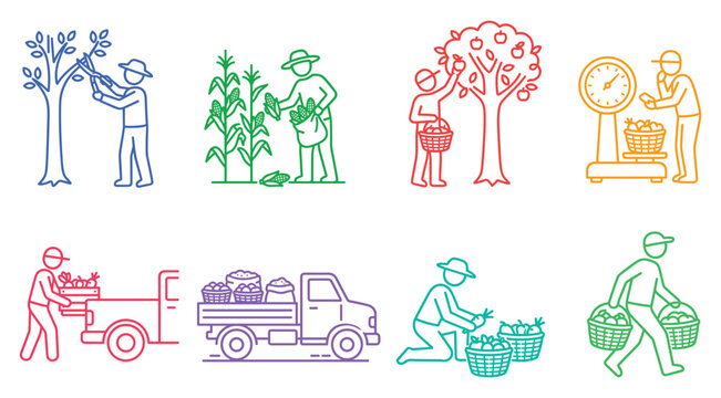 Various farming and agricultural process outline icons including pruning planting harvesting