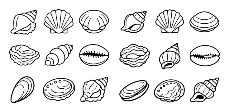 seashell and marine design icons with conch, scallop and oyster for branding design in outline style