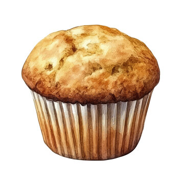 watercolor draw of Muffin, isolated on a white background.
