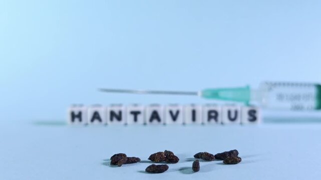 Macro rack focus from a hypodermic needle and Hantavirus text blocks to mice feces in the foreground. Sterile blue studio backdrop illustrates vaccine research and public health outbreaks.