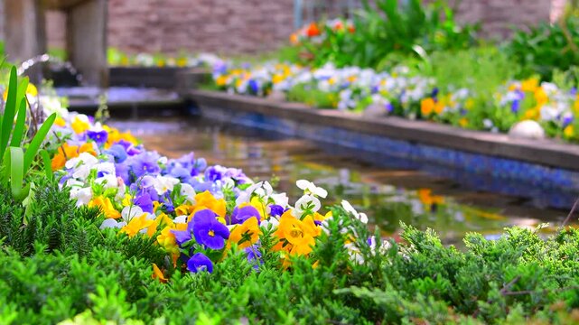 水辺の花」の写真素材 | 28,554件の無料イラスト画像 | Adobe Stock