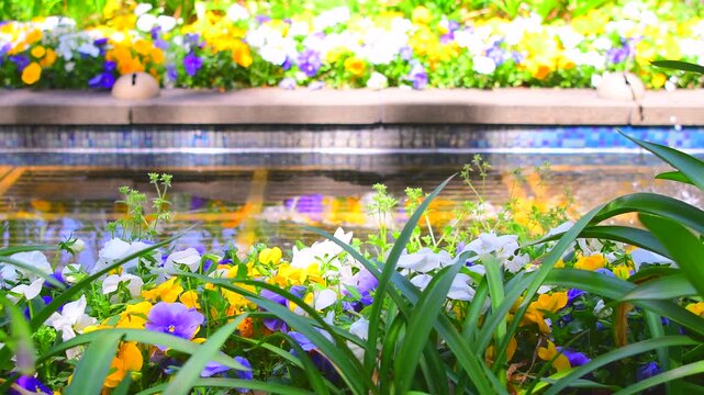 水辺の花」の写真素材 | 28,153件の無料イラスト画像 | Adobe Stock