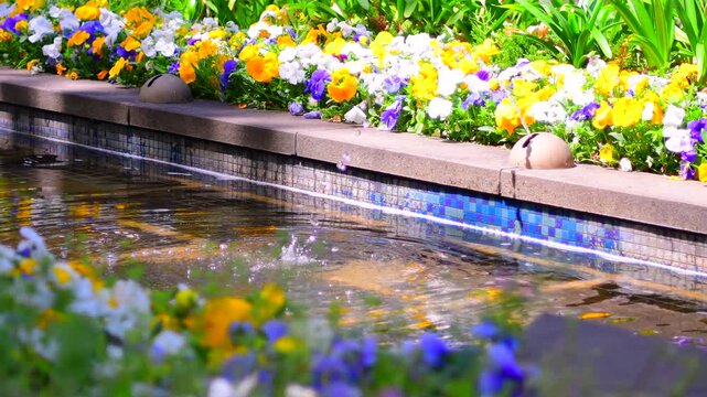 水辺の花」の写真素材 | 28,153件の無料イラスト画像 | Adobe Stock